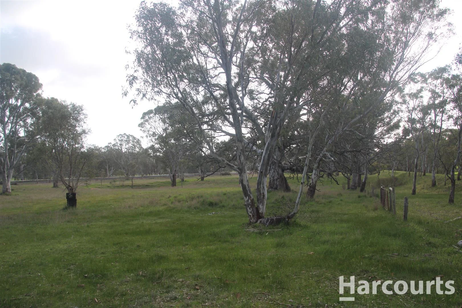 Additional image 11 of 4242 Coleraine-Balmoral Road, Balmoral VIC 3407