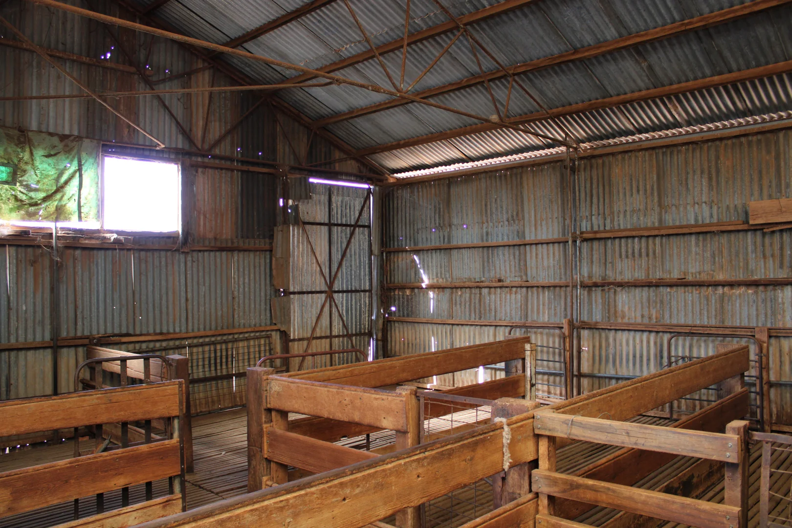 Additional image 22 of "Woodlands" Black Rock Road, Minvalara SA 5422