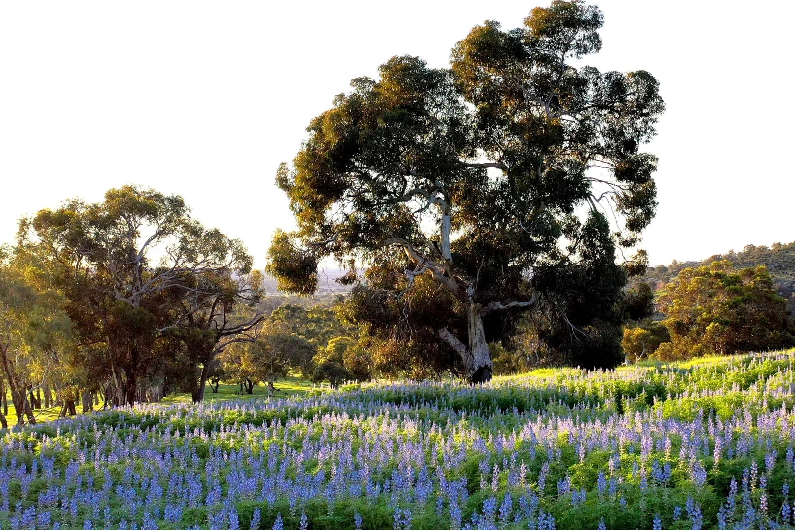 Additional image 7 of 839 Campersic Road, Brigadoon WA 6069