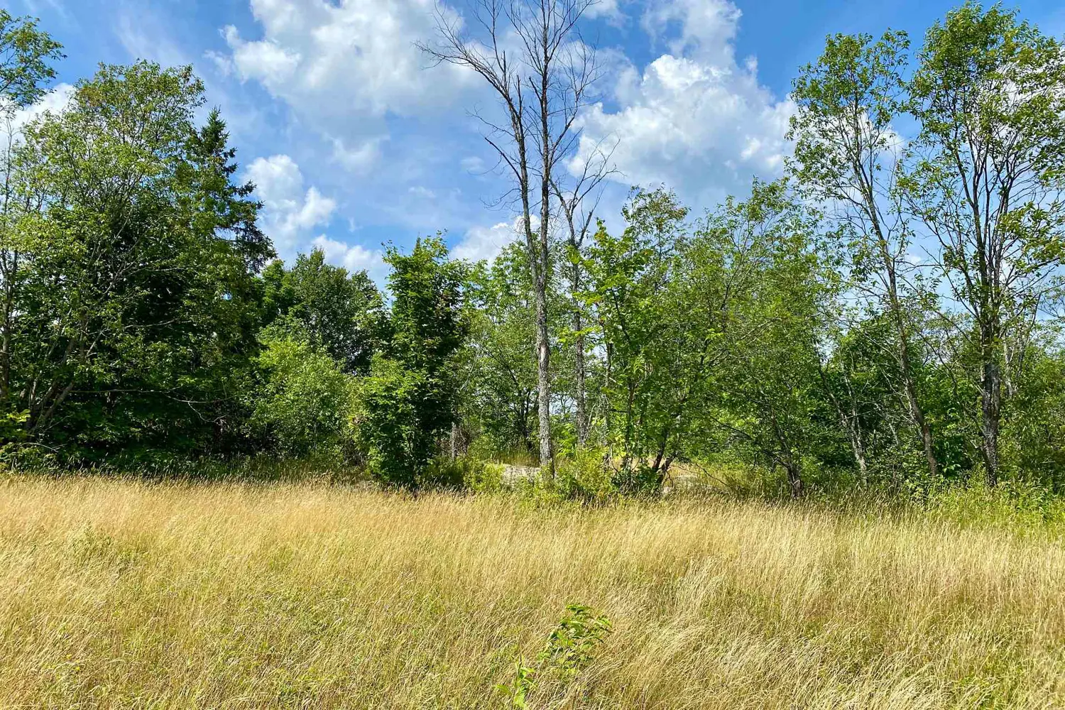 Additional image 6 of Lot 6-B 522 Highway