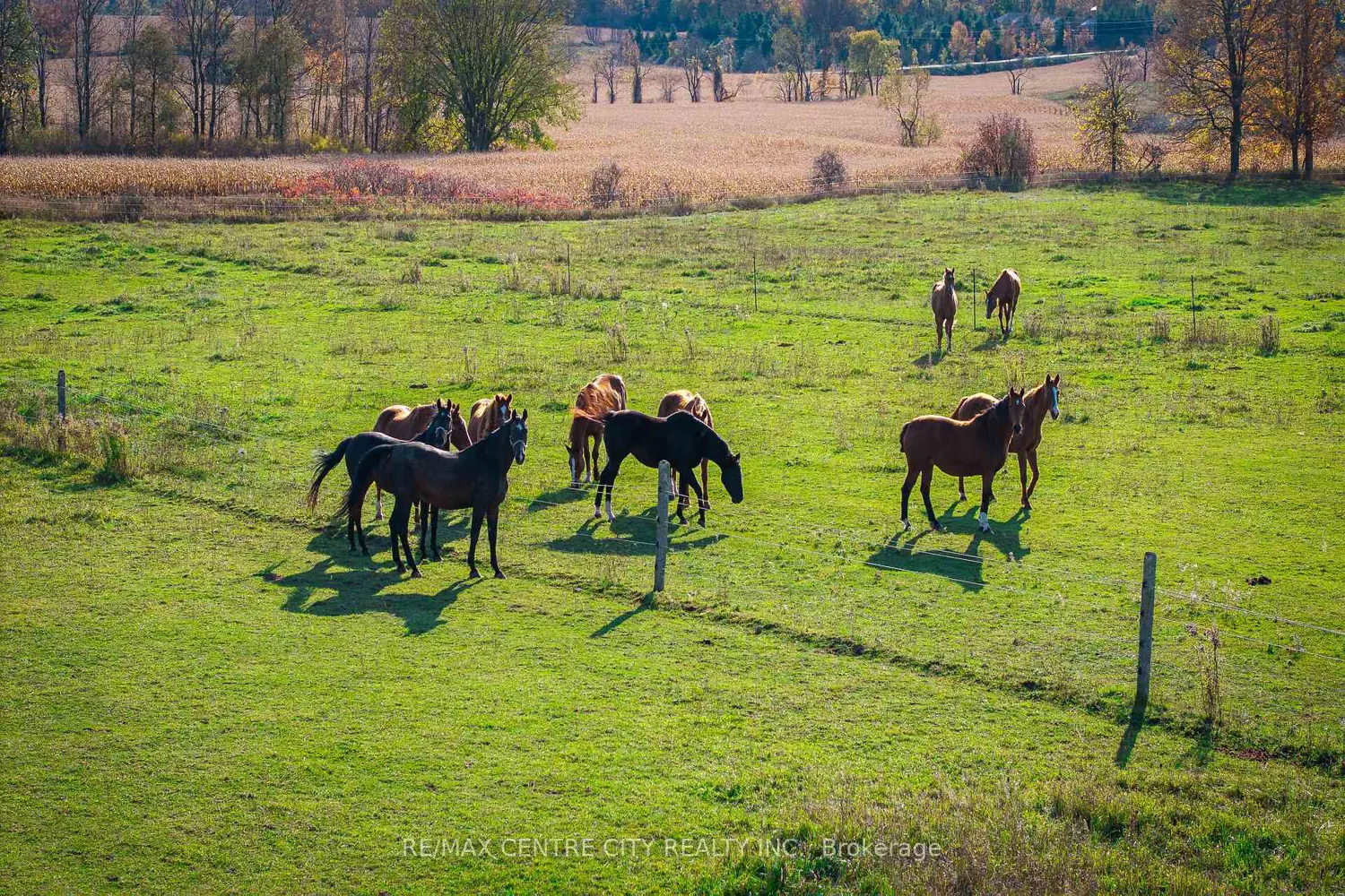 Additional image 12 of 442146 Concession Road 8