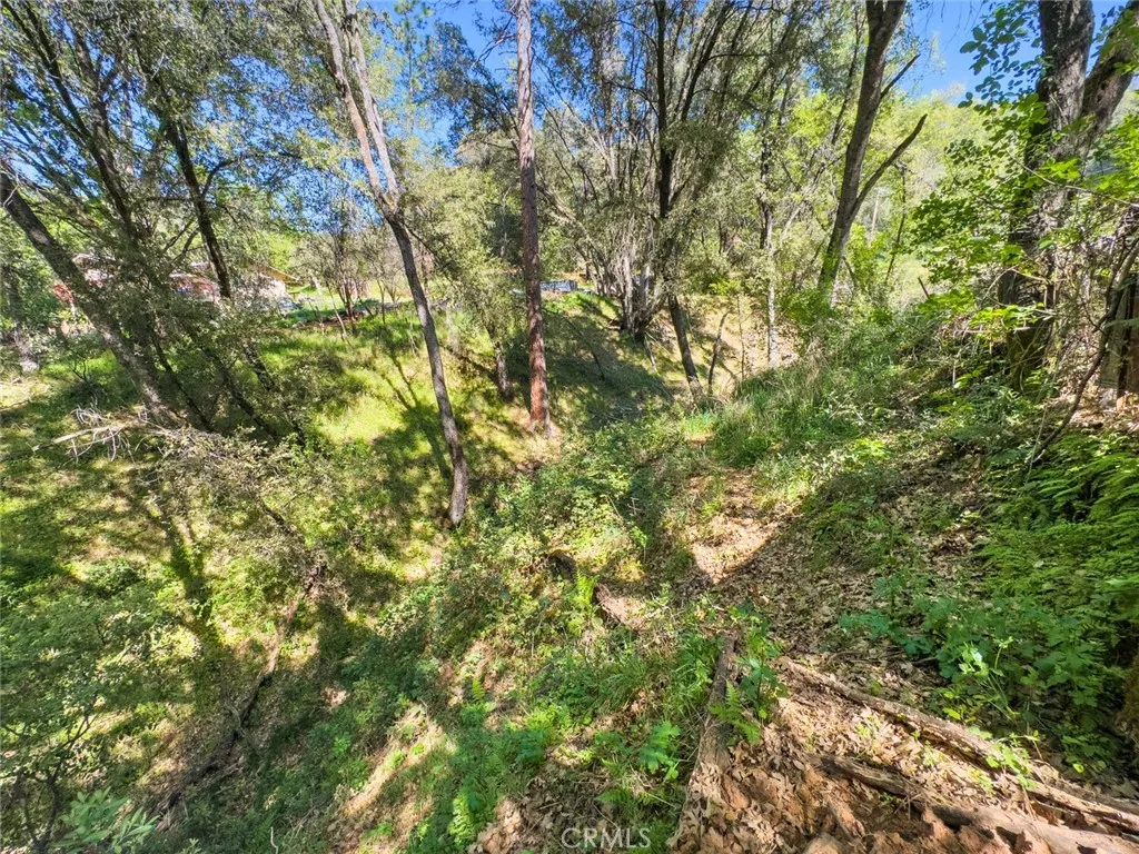 Additional image 57 of 22666 Lower Quail Mine Road, Sonora, CA 95370