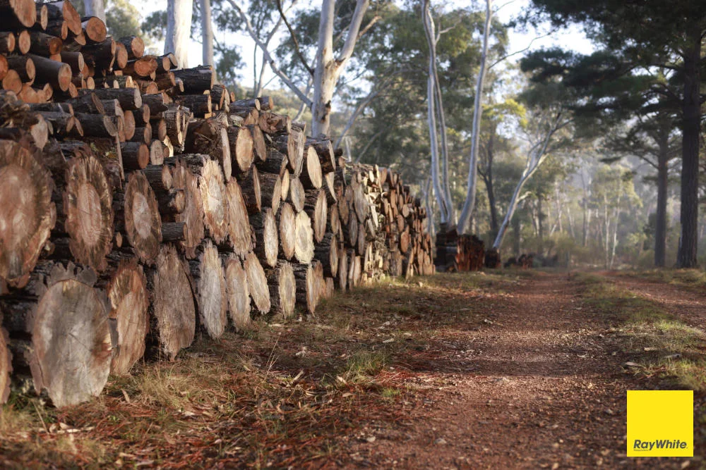 Additional image 6 of 270 Pine Bank Drive, Lower Boro NSW 2580