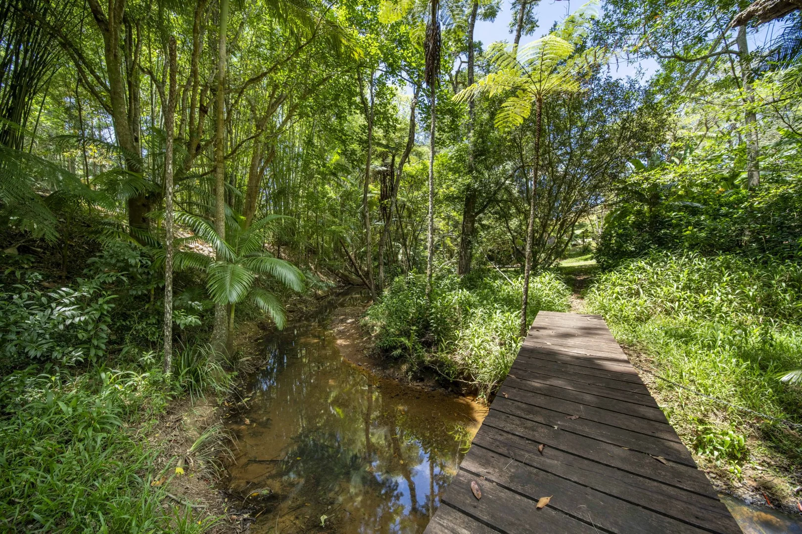 Additional image 29 of 829 The Pocket Rd, The Pocket NSW 2483