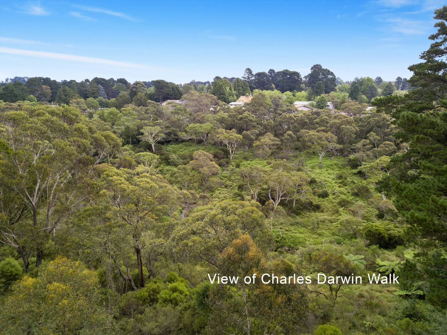 Additional image 6 of 4 William Avenue, Wentworth Falls NSW 2782