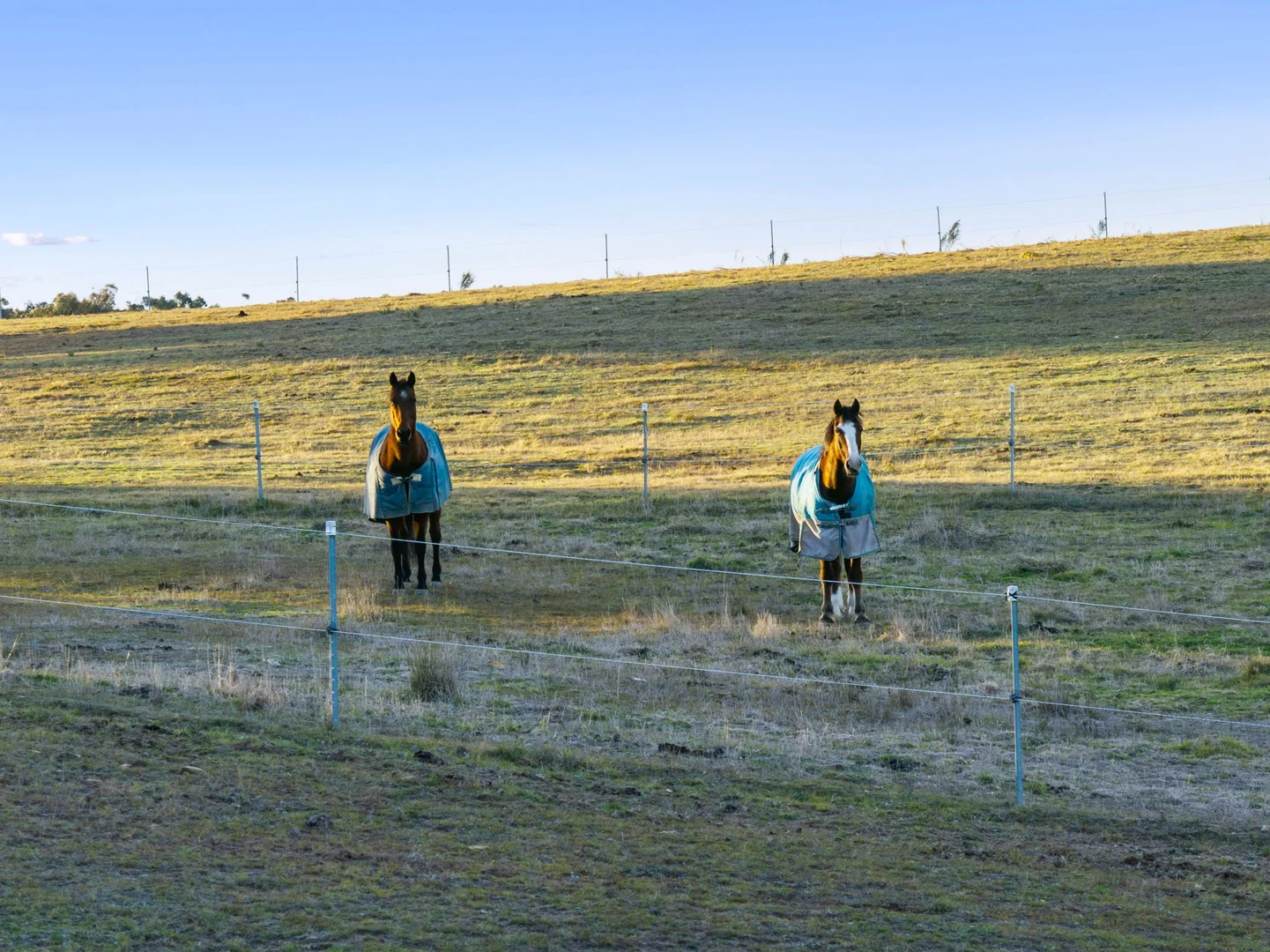 Additional image 23 of 74 Woolshed Lane, Bywong NSW 2621