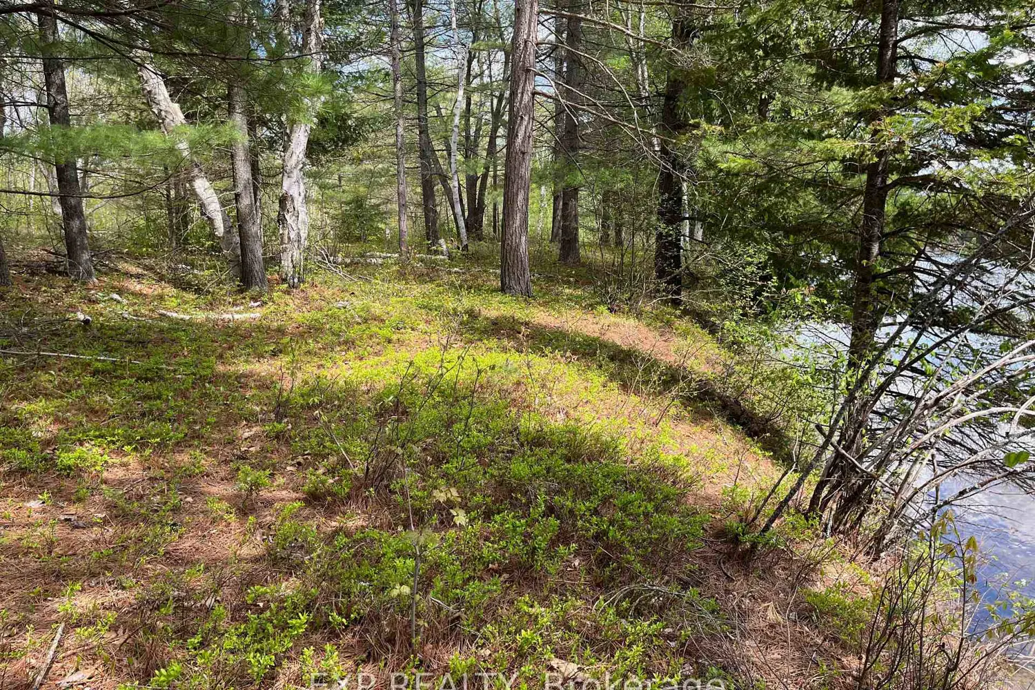 Additional image 3 of Lot 37 Sandy Shores Trail