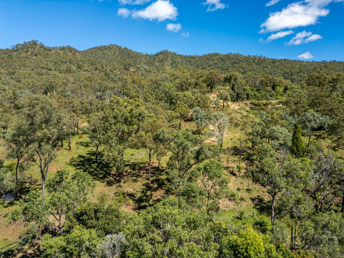 Additional image 49 of 130 Goltz Road, Black Duck Creek QLD 4343
