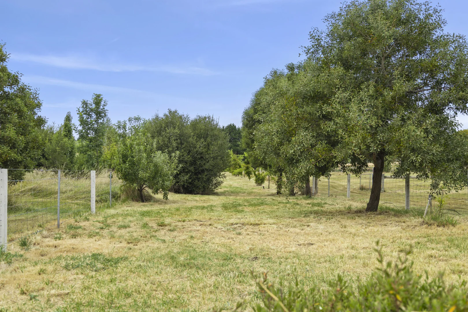 Additional image 10 of CA7 Sec 50 Lasslett Street, Malmsbury VIC 3446