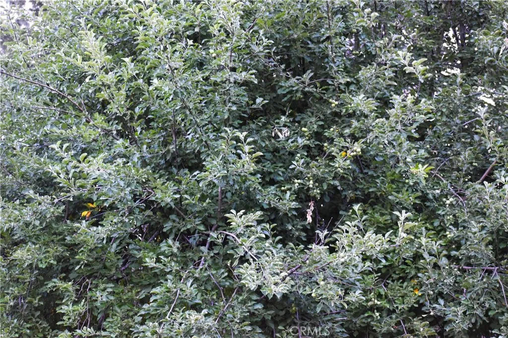 Additional image 26 of 30834 State Hwy 96, Horse Creek, CA 96050