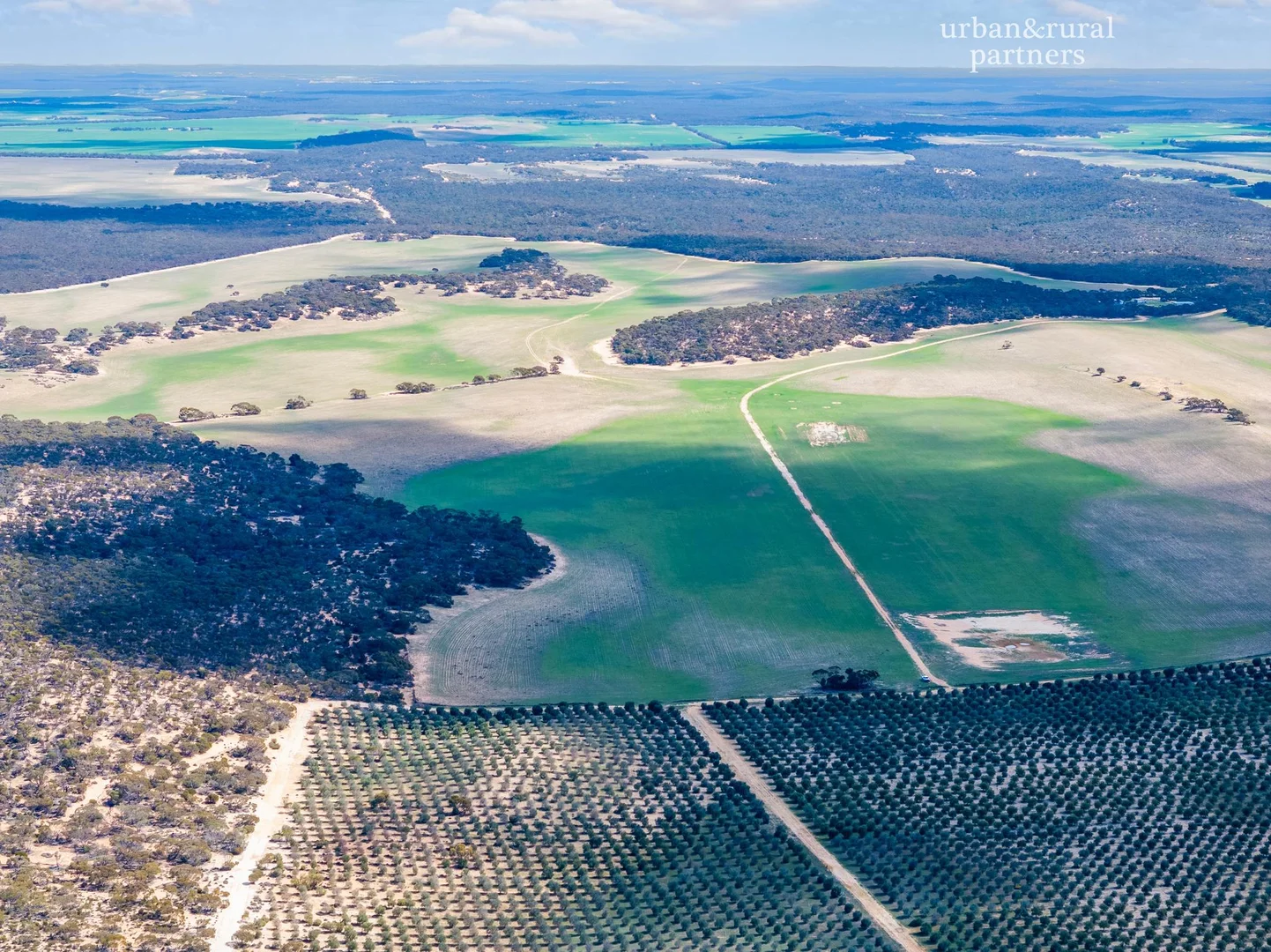 Additional image 14 of 1575 Kringin Road, Karte SA 5304