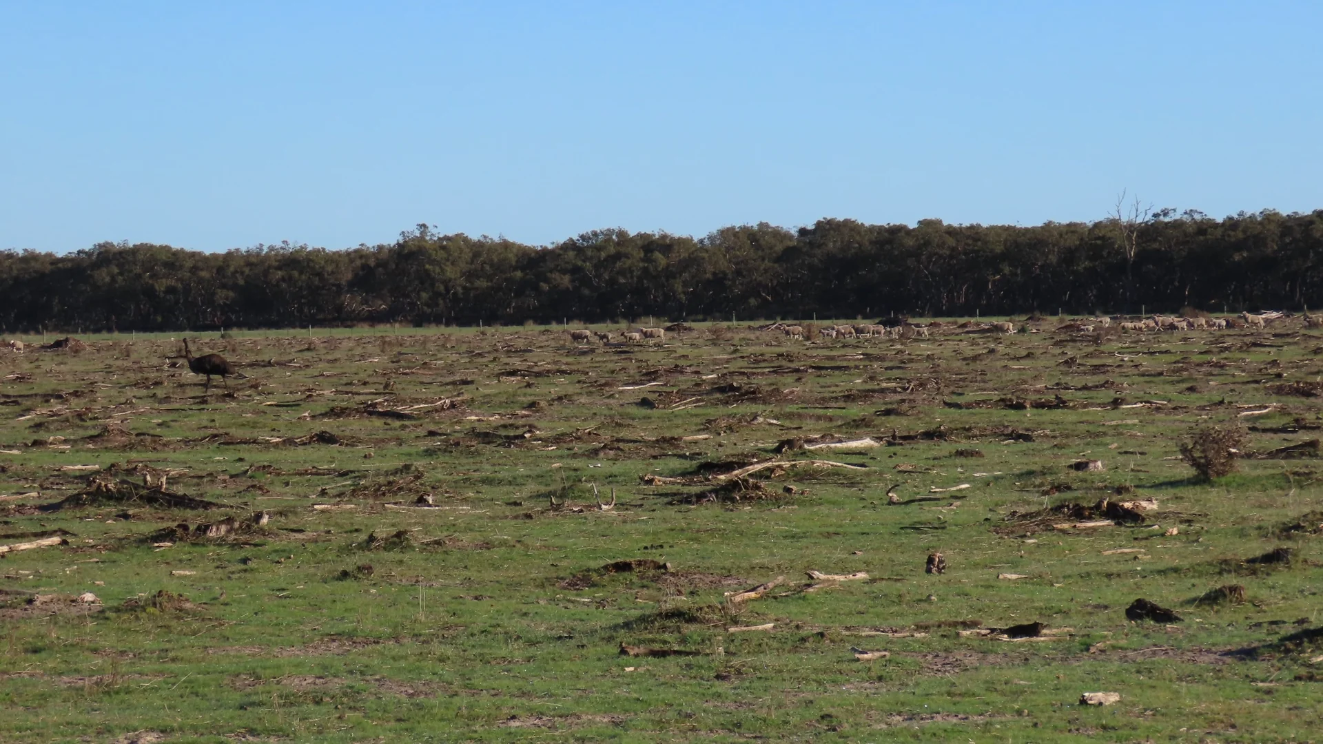 Additional image 8 of 225 Coles-Killanoola Road, Coles SA 5272