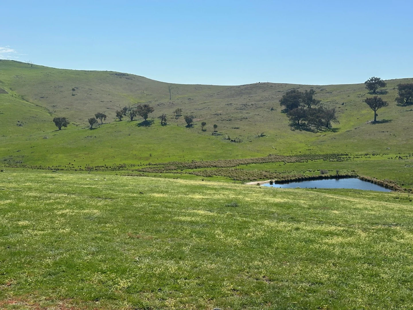 Additional image 6 of 1208 Sawyers Gully, Yass NSW 2582