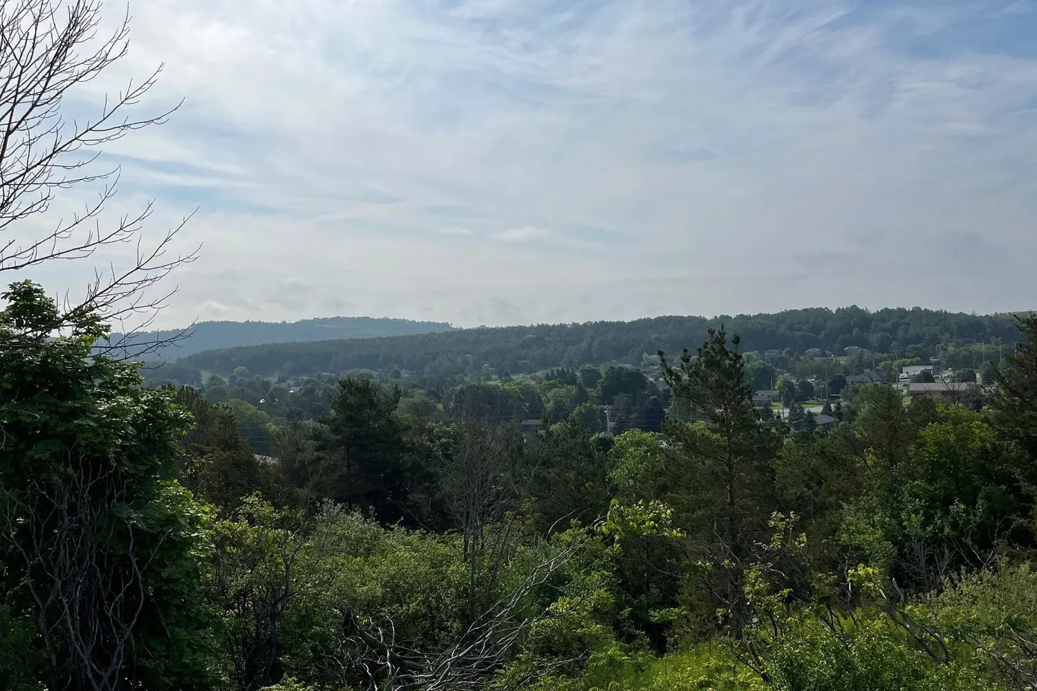 Additional image 4 of 4836 45 Highway Lot 3