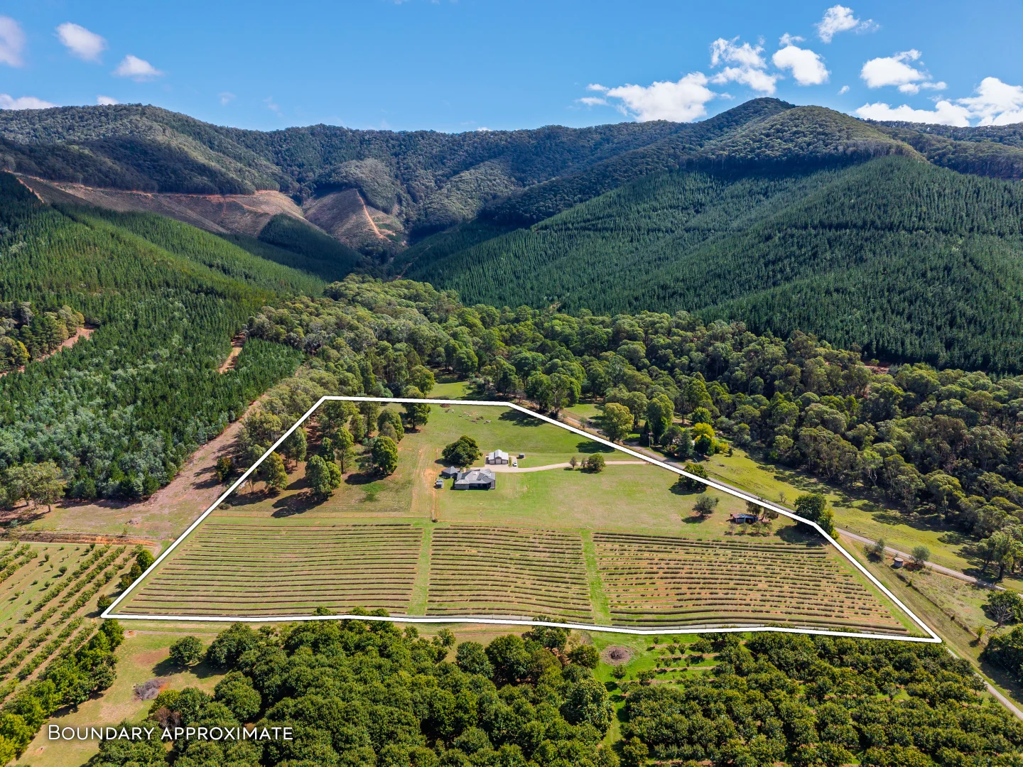 Additional image 42 of 67 Jagoes Gully Road, Wandiligong VIC 3744
