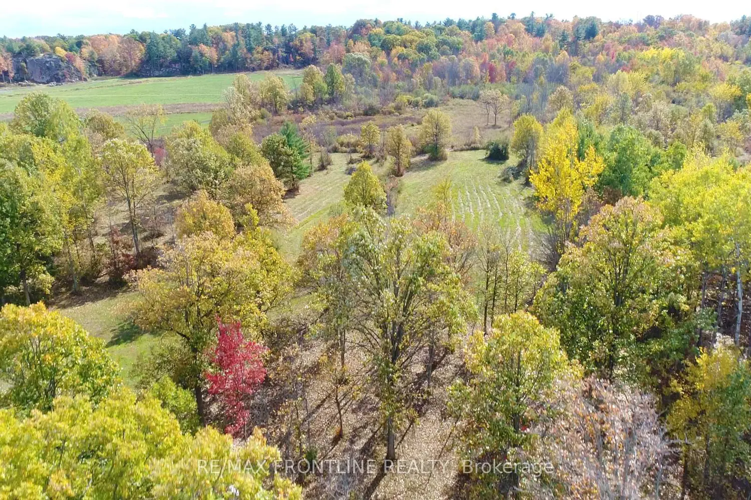 Additional image 3 of 900 Beaver Road