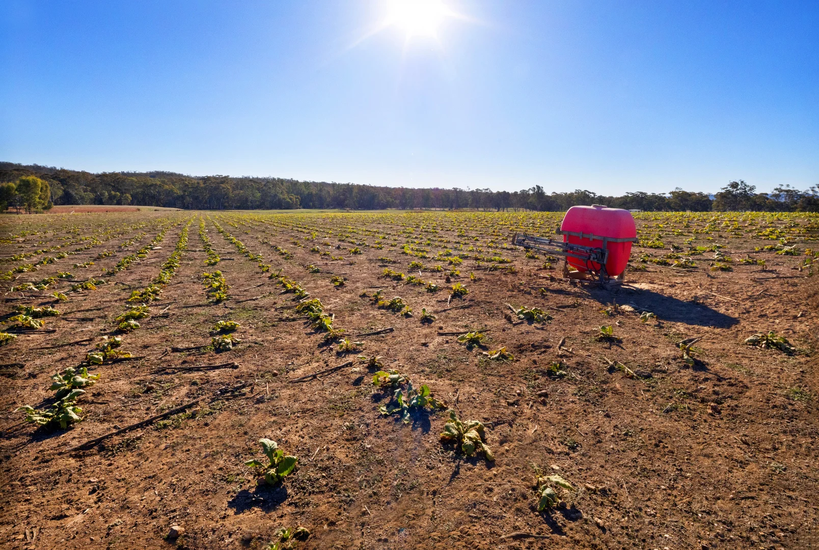 Additional image 22 of 4480 Stawell - Avoca Road, Frenchmans VIC 3384