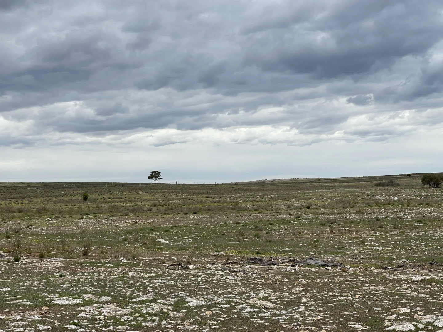 Additional image 7 of 1 Section 217, 217 & 219, Bramfield SA 5670