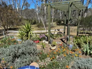 Additional image 20 of 28 Macovoy Lane, Waanyarra VIC 3551