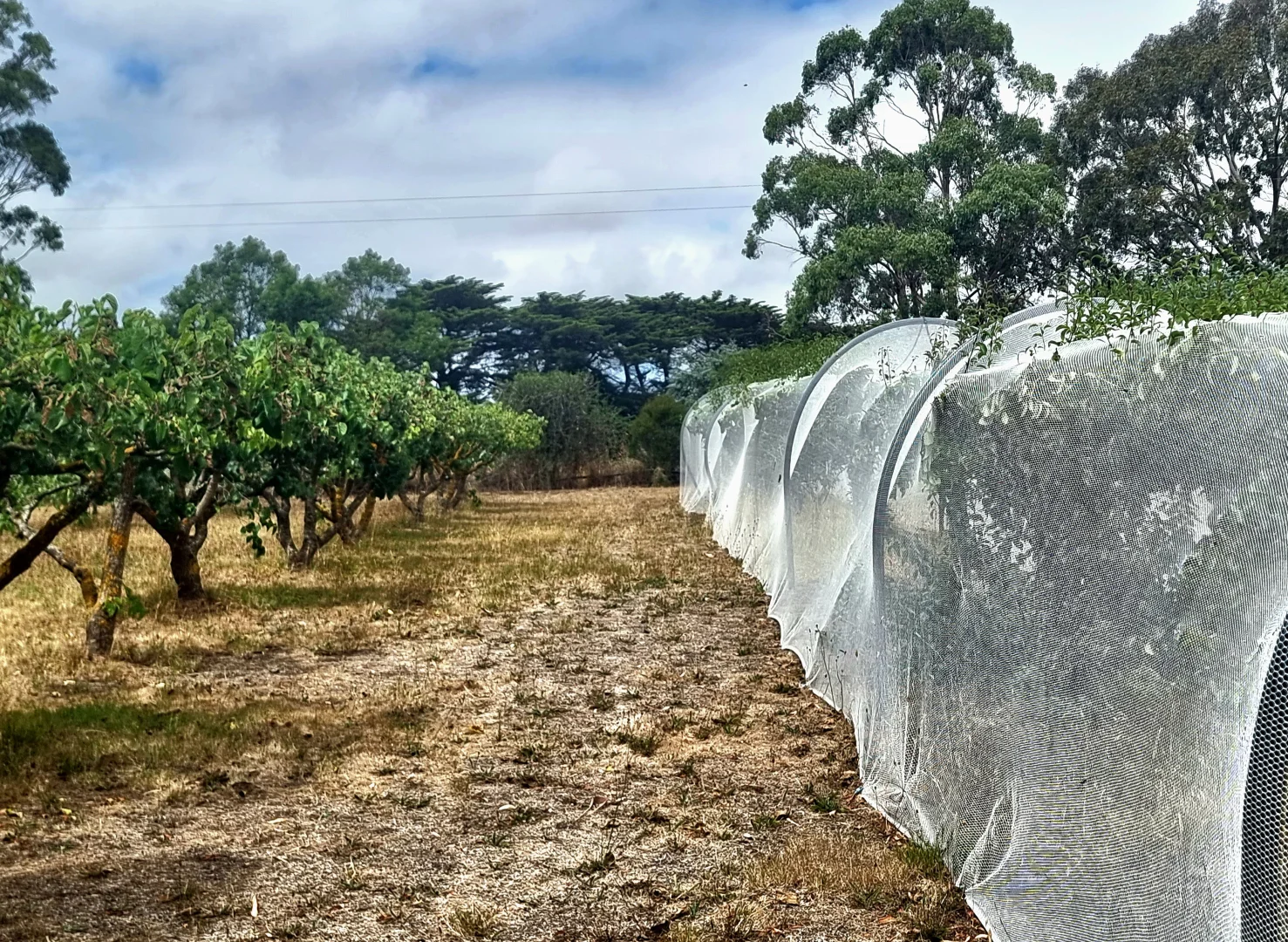 Additional image 26 of 220 Birregurra-Deans Marsh Road, Birregurra VIC 3242