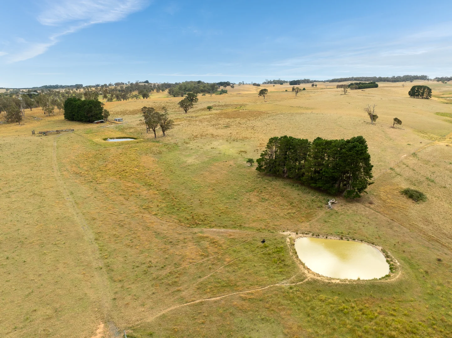 Additional image 23 of 'Top Farm' 1004 Neville-Trunkey Road, Neville NSW 2799