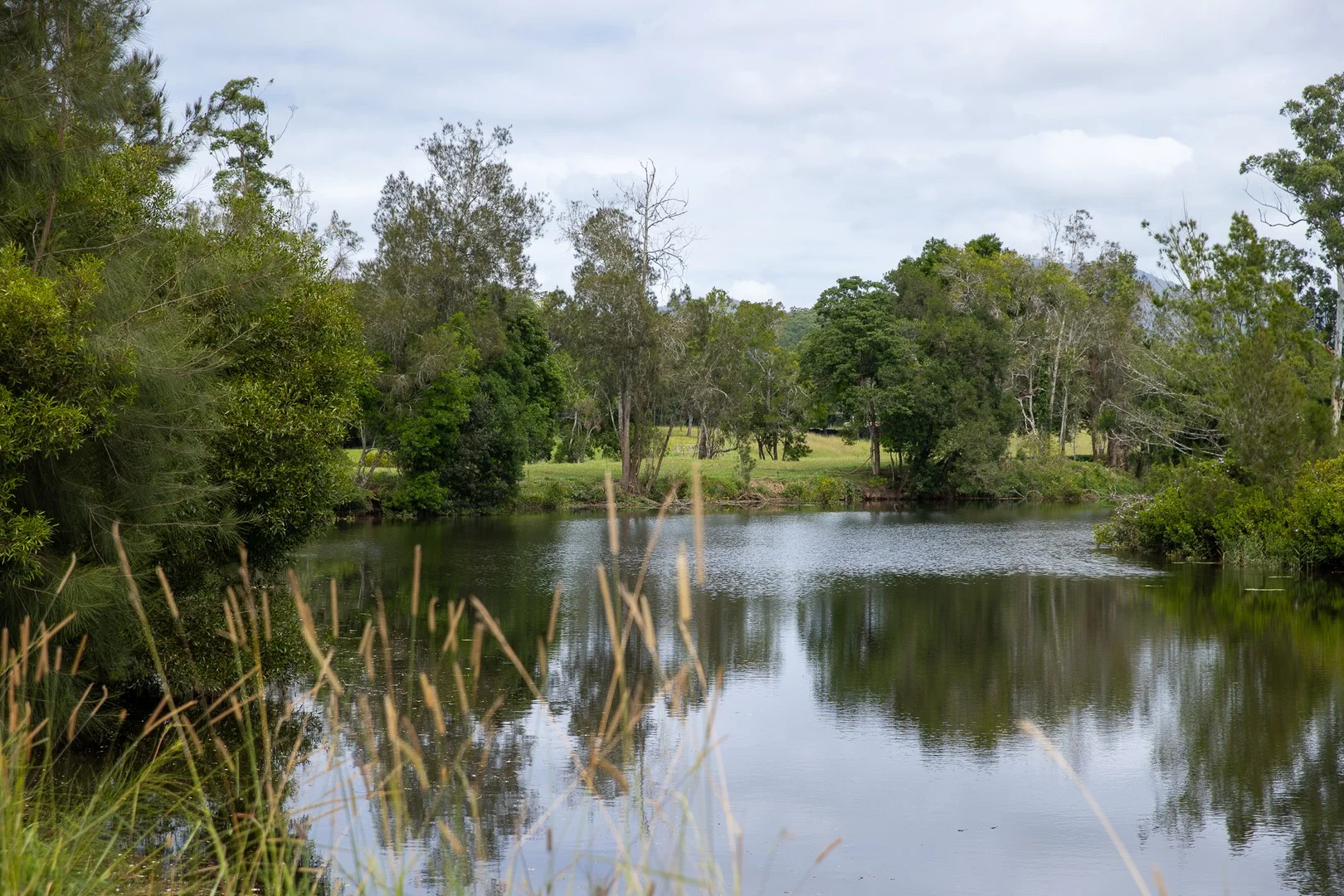 300 Martells Road, Bellingen NSW 2454