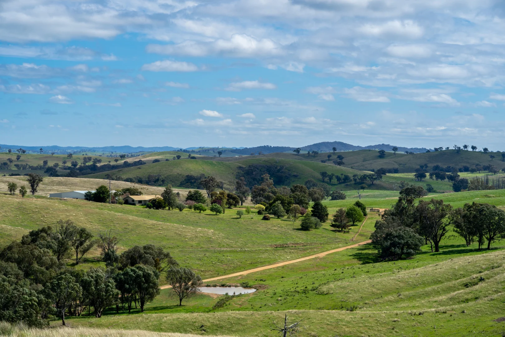 Additional image 37 of 'Cronga Peak' 157 Cronga Peak Road, Molong NSW 2866