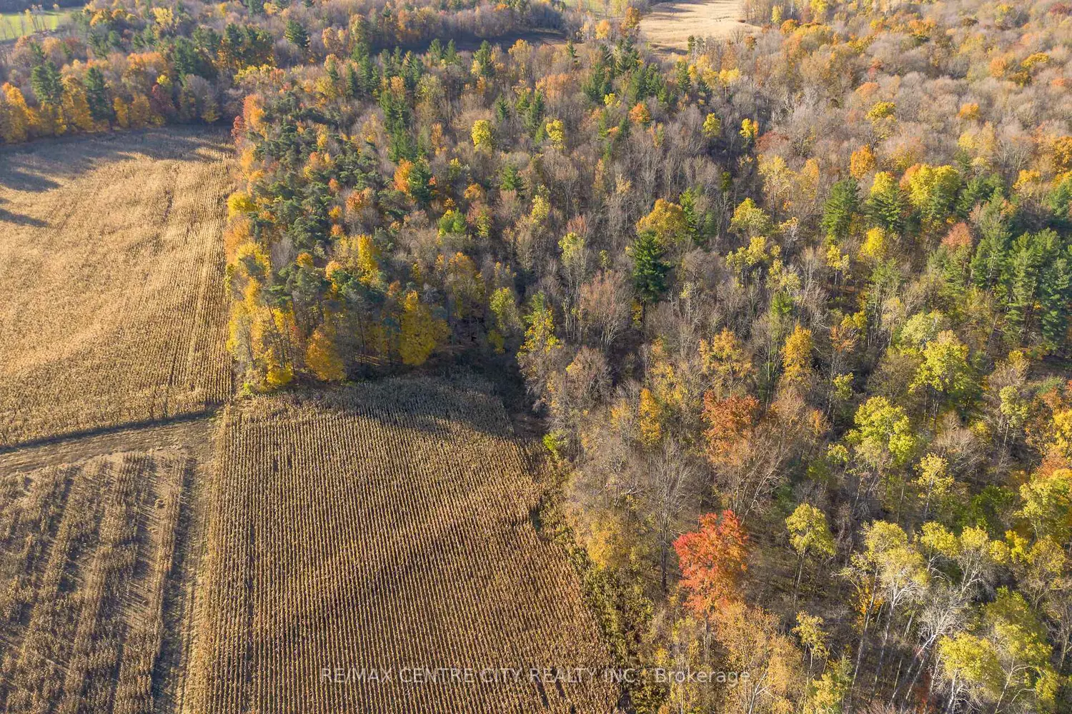 Additional image 9 of 8916 Coyle Road