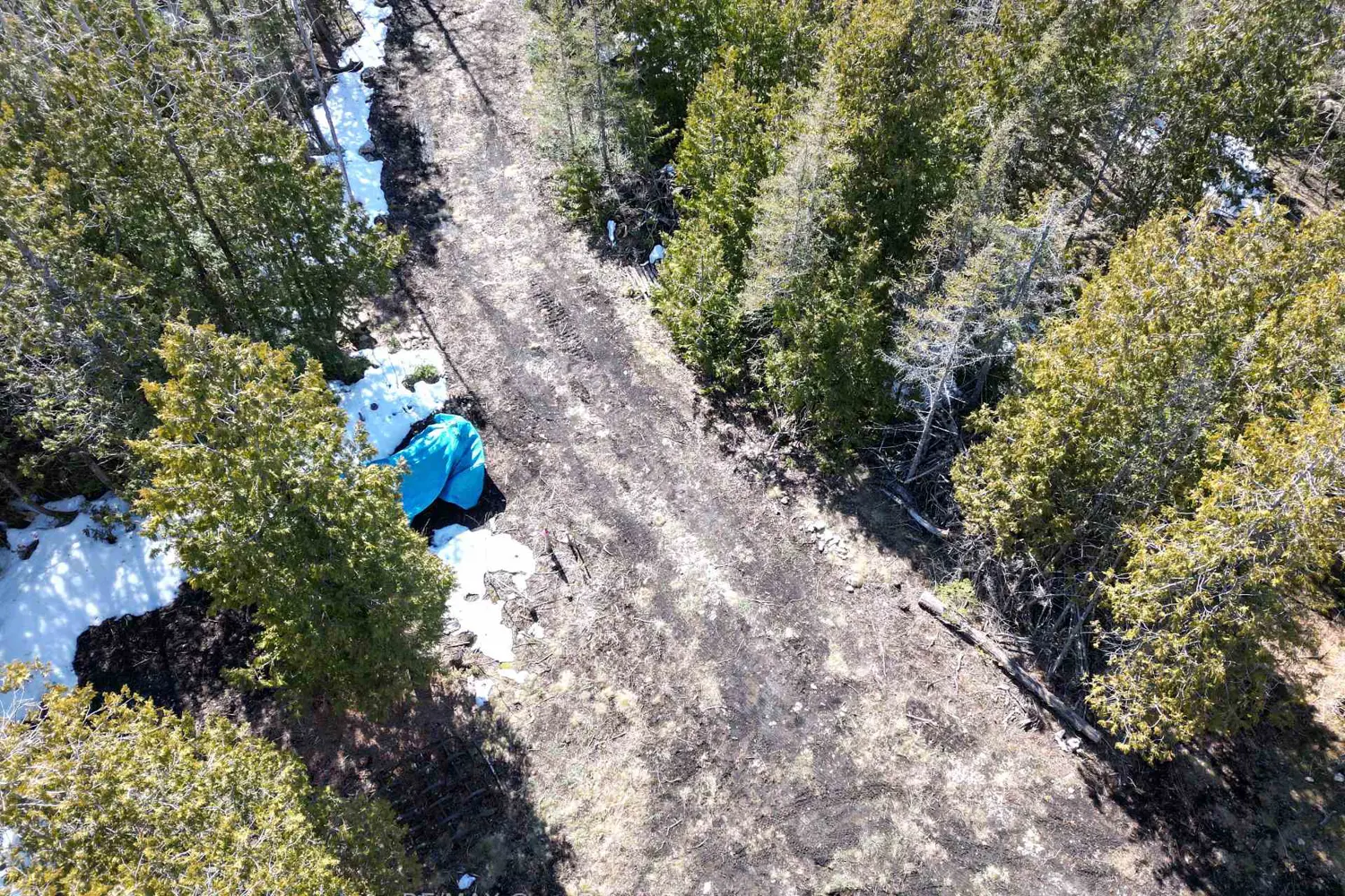 Additional image 4 of 31 Baise Avenue