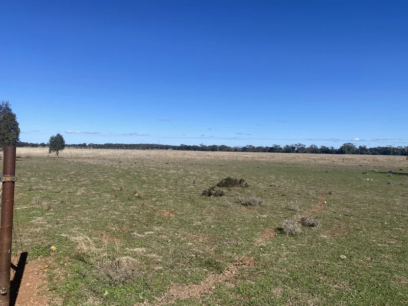 Additional image 14 of 382 Jones Lane, Condobolin NSW 2877