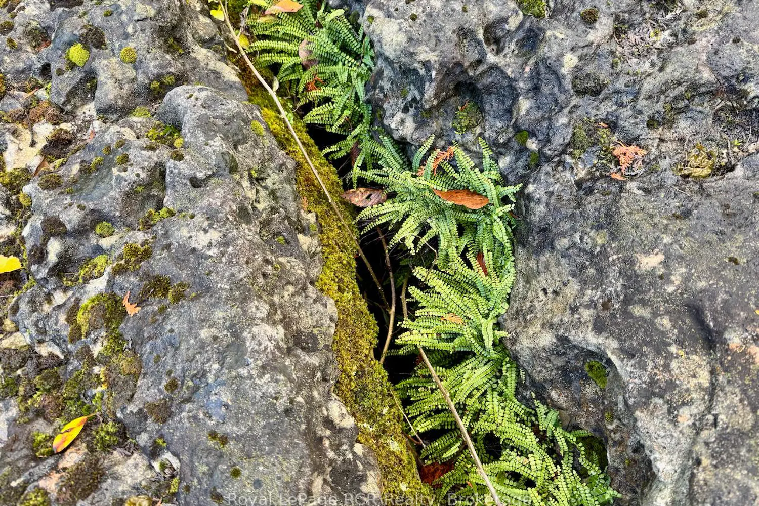 Additional image 16 of 4887 Hwy 6 Highway