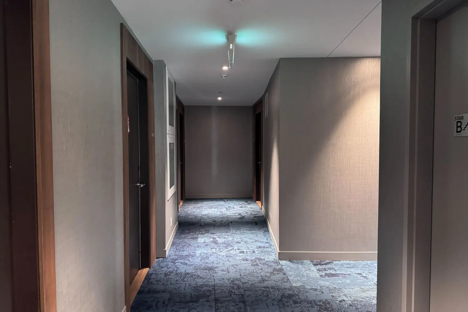 Additional image 14 of 39 Mary Street 2107