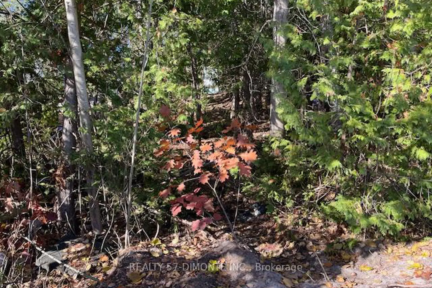 Additional image 5 of 00000 River Road