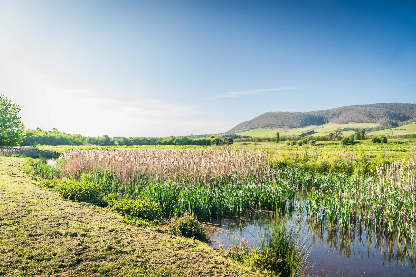 Additional image 22 of 759 Glenora Road, Plenty TAS 7140