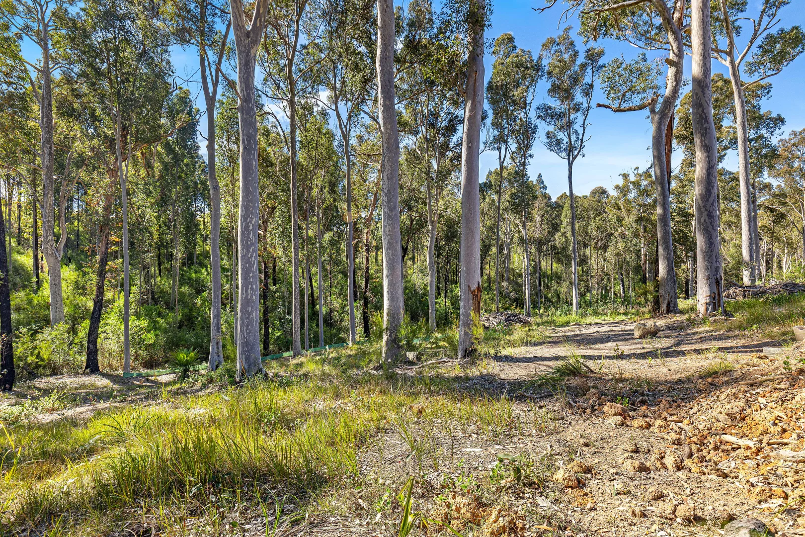 Additional image 7 of Lot 51 Banksia Grove, Malua Bay NSW 2536