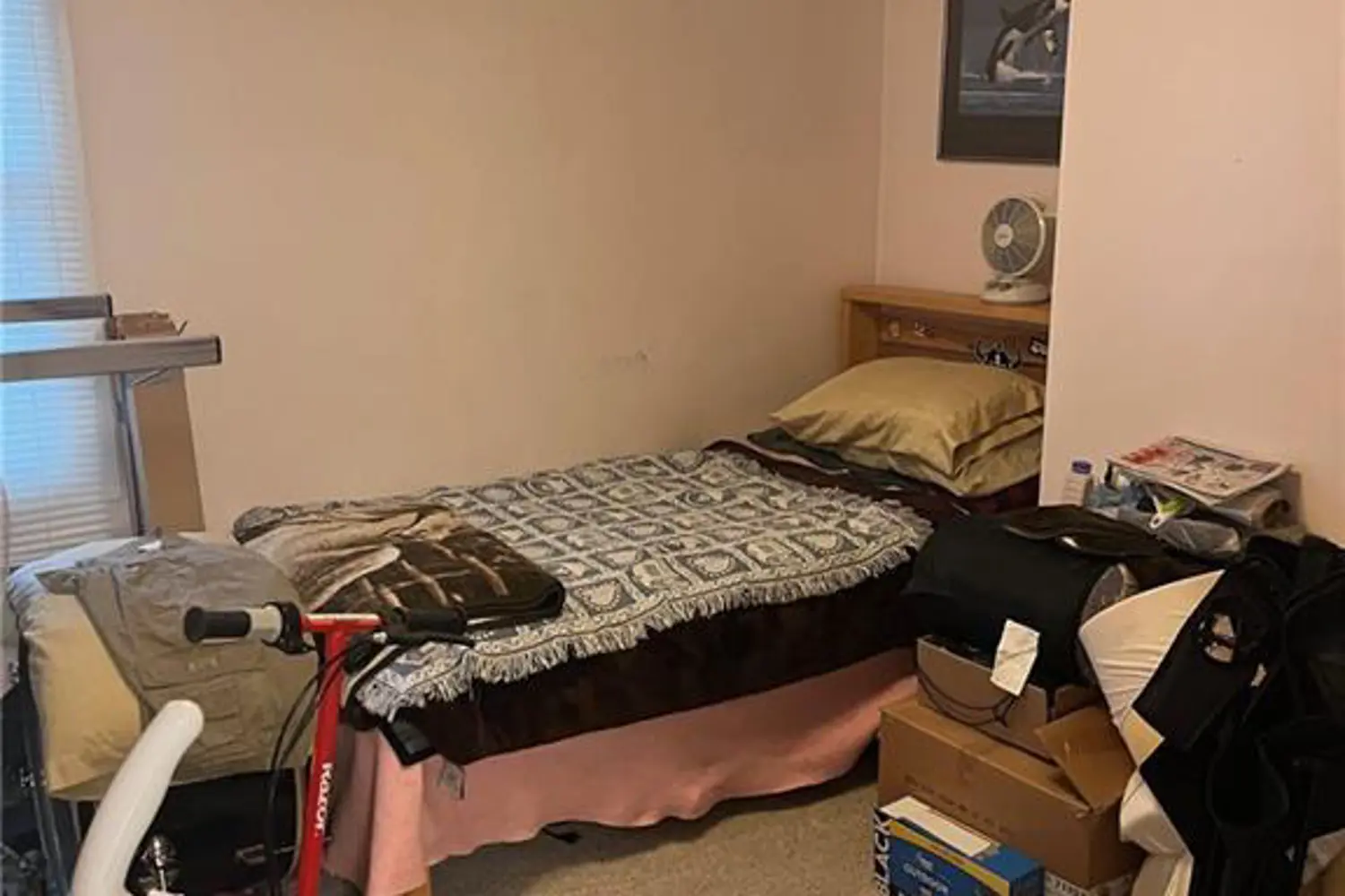 Additional image 8 of 83 Stanley Street