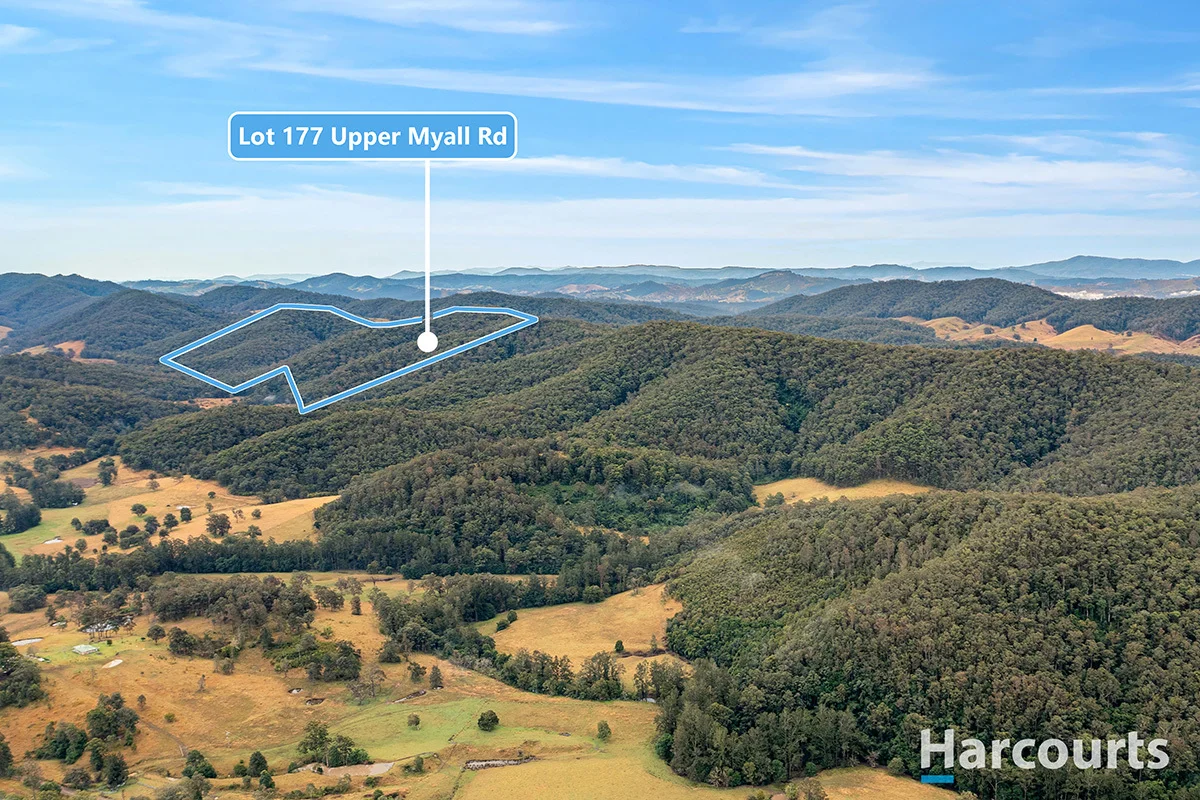 177 Upper Myall Road, Warranulla NSW 2423 photo 3