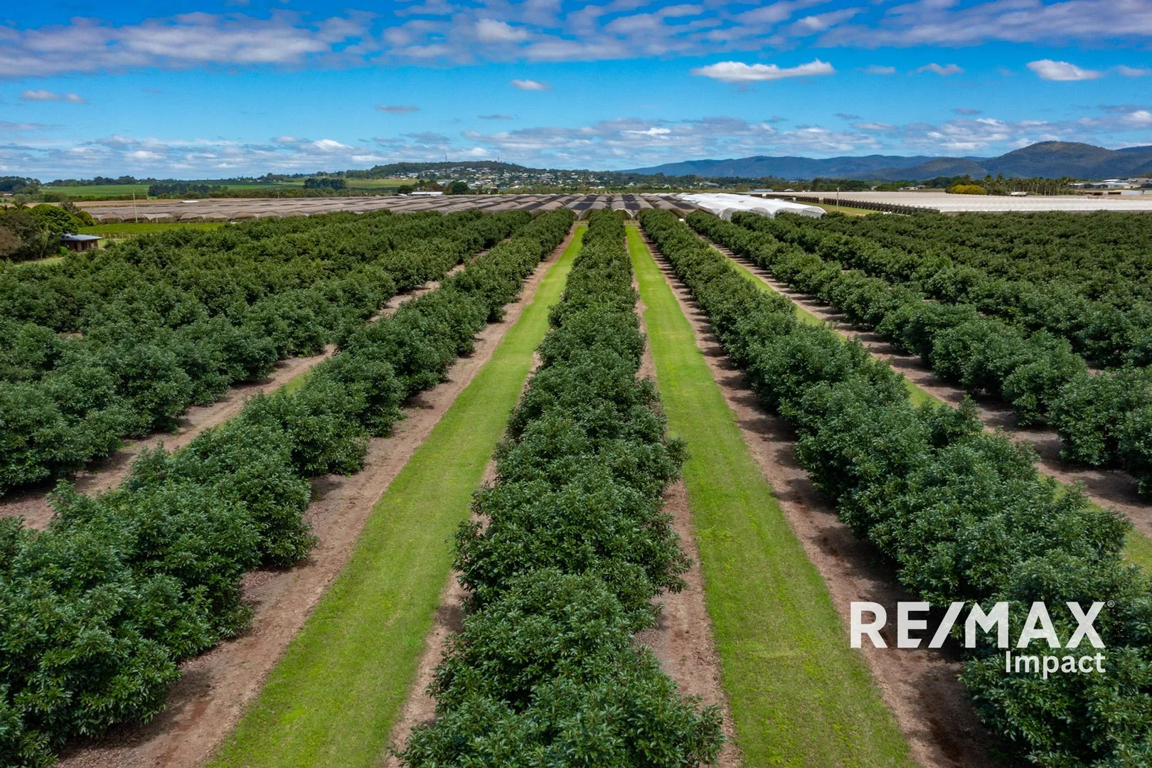 Additional image 22 of 119 Beantree Road, Atherton QLD 4883