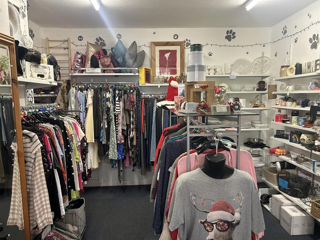 Additional image 6 of Coronation Avenue, Yeovil, Somerset, BA21 3DX