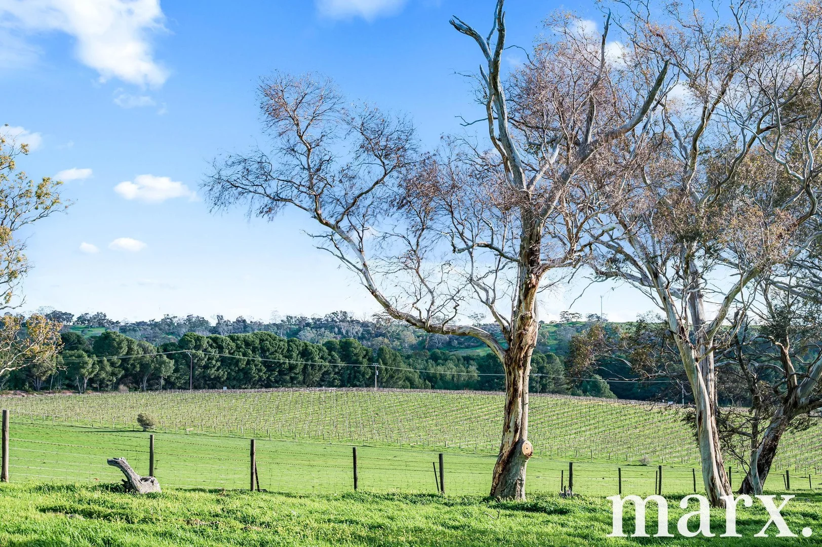 Additional image 26 of 137 Radford Road, Angaston SA 5353