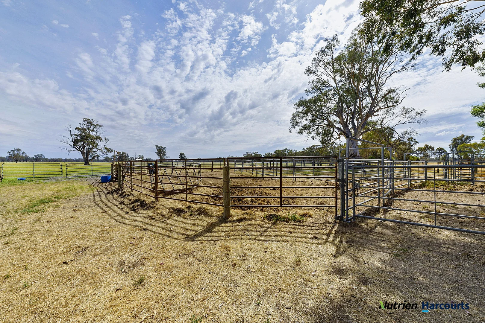 Additional image 13 of 43 Robinson Road, Violet Town VIC 3669