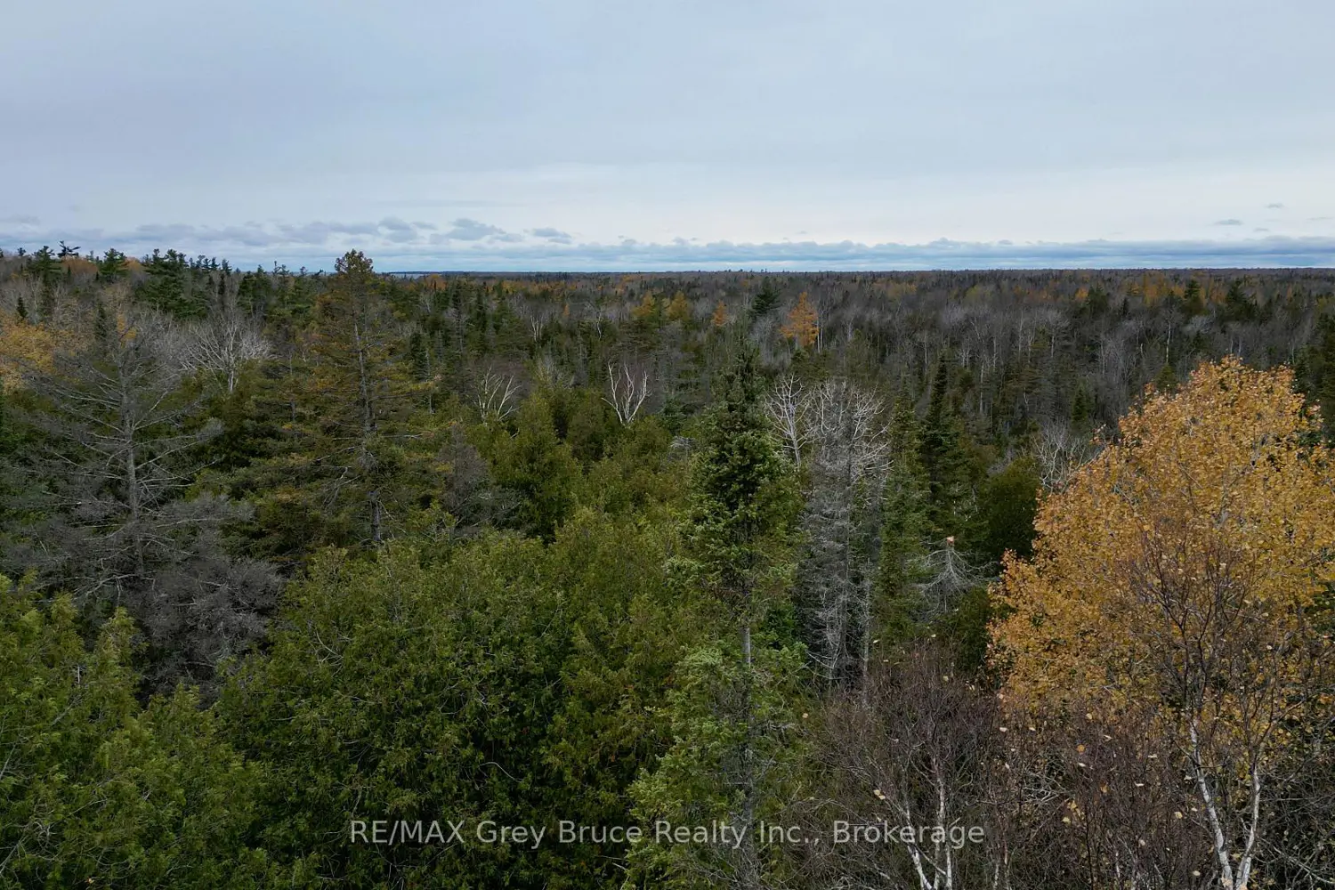 Additional image 12 of 44 Stokes Bay Road