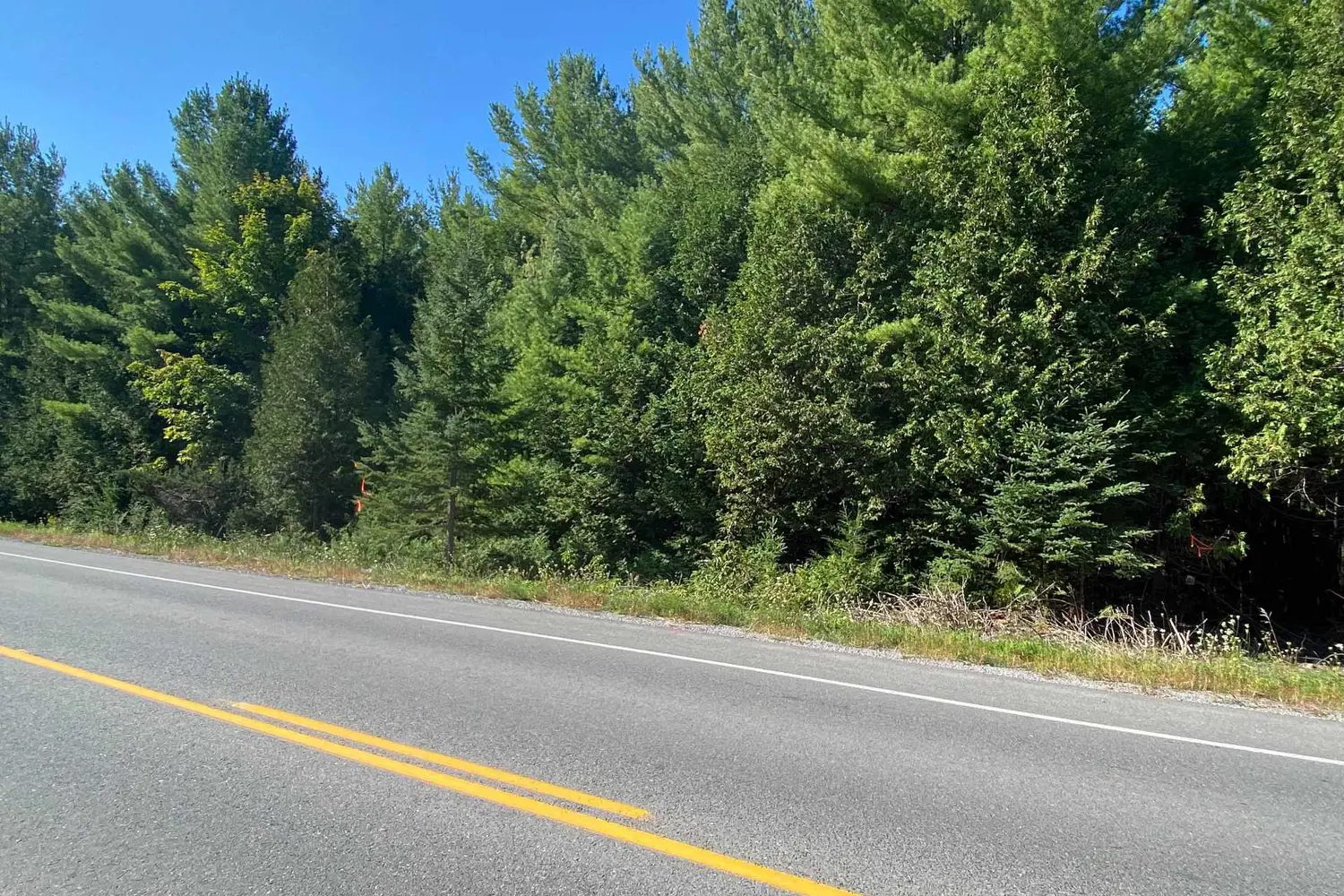 Additional image 3 of 590 County Rd 40