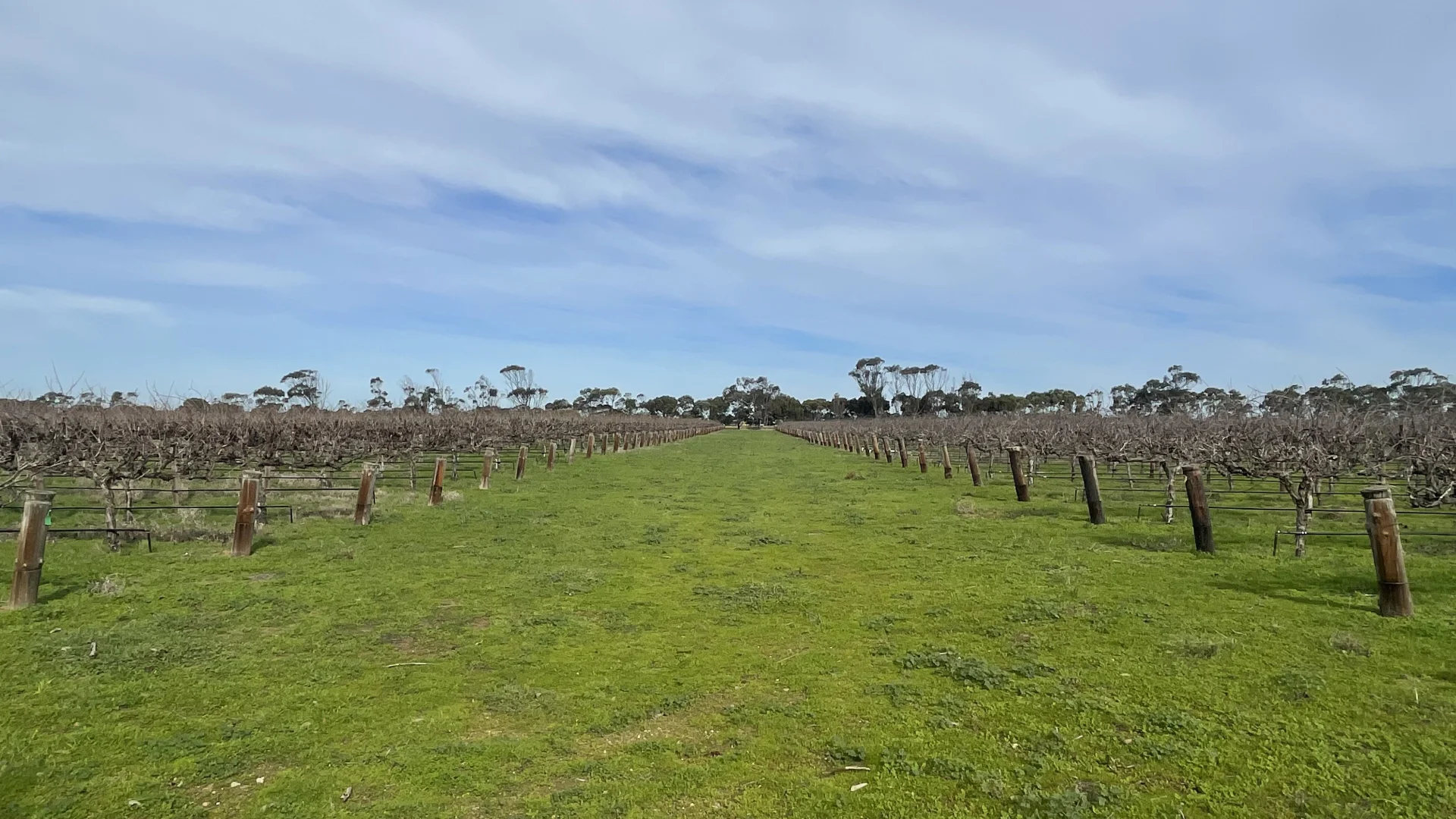 Additional image 12 of 359 Chapel Road, Lake Plains SA 5255