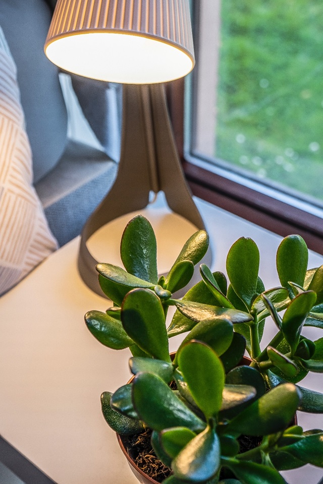 Additional image 15 of 2 Bed Flat, Edinburgh, EH8, N1 7GU