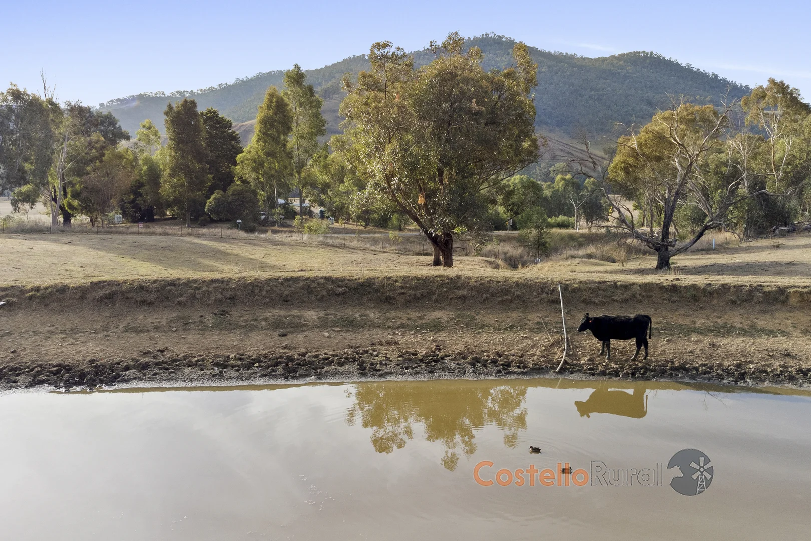 Additional image 20 of 8243 Murray River Rd, Walwa VIC 3709