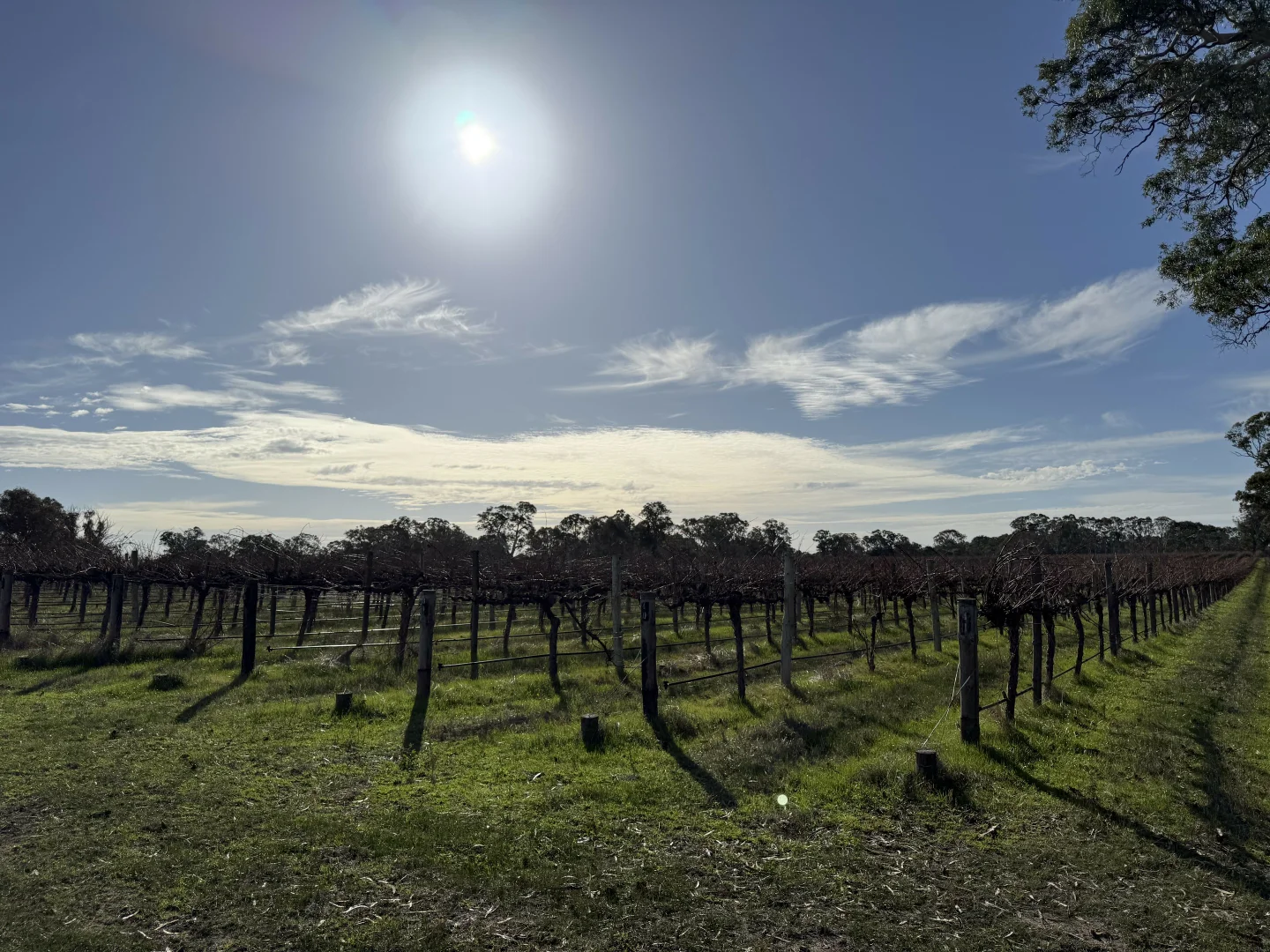 Additional image 9 of Lot 104 Dergholm Road, Penola SA 5277