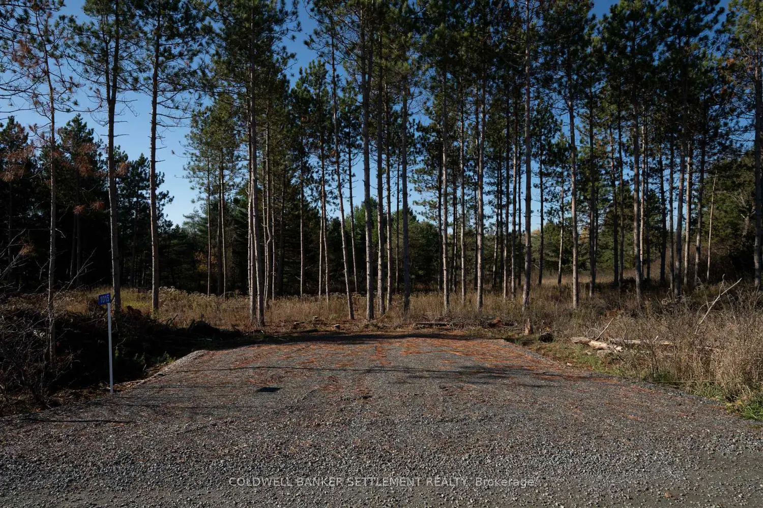 Additional image 3 of 1015 Concession 5A Road