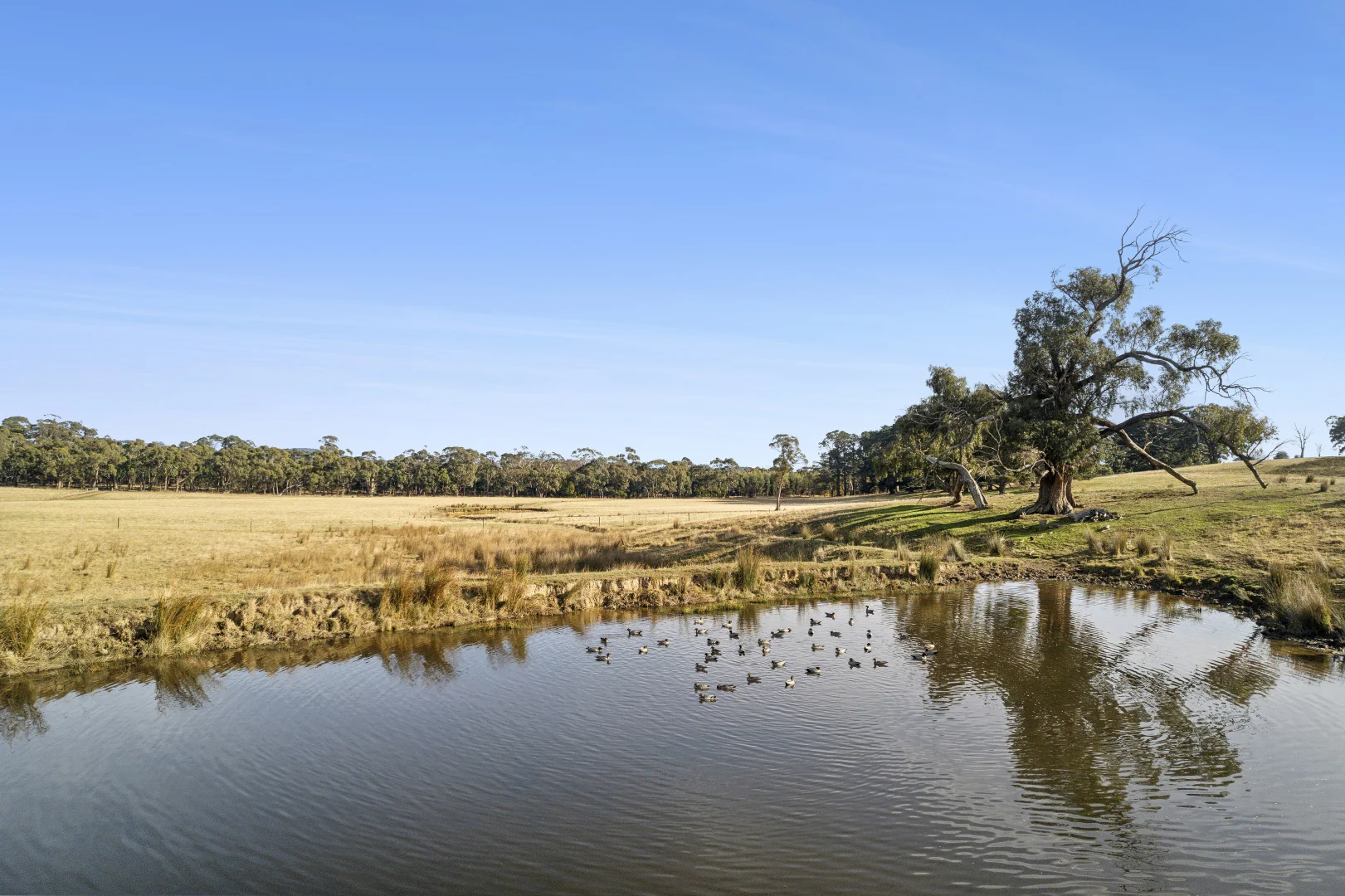 Additional image 8 of 1/104 Holcombe Road, Glenlyon VIC 3461