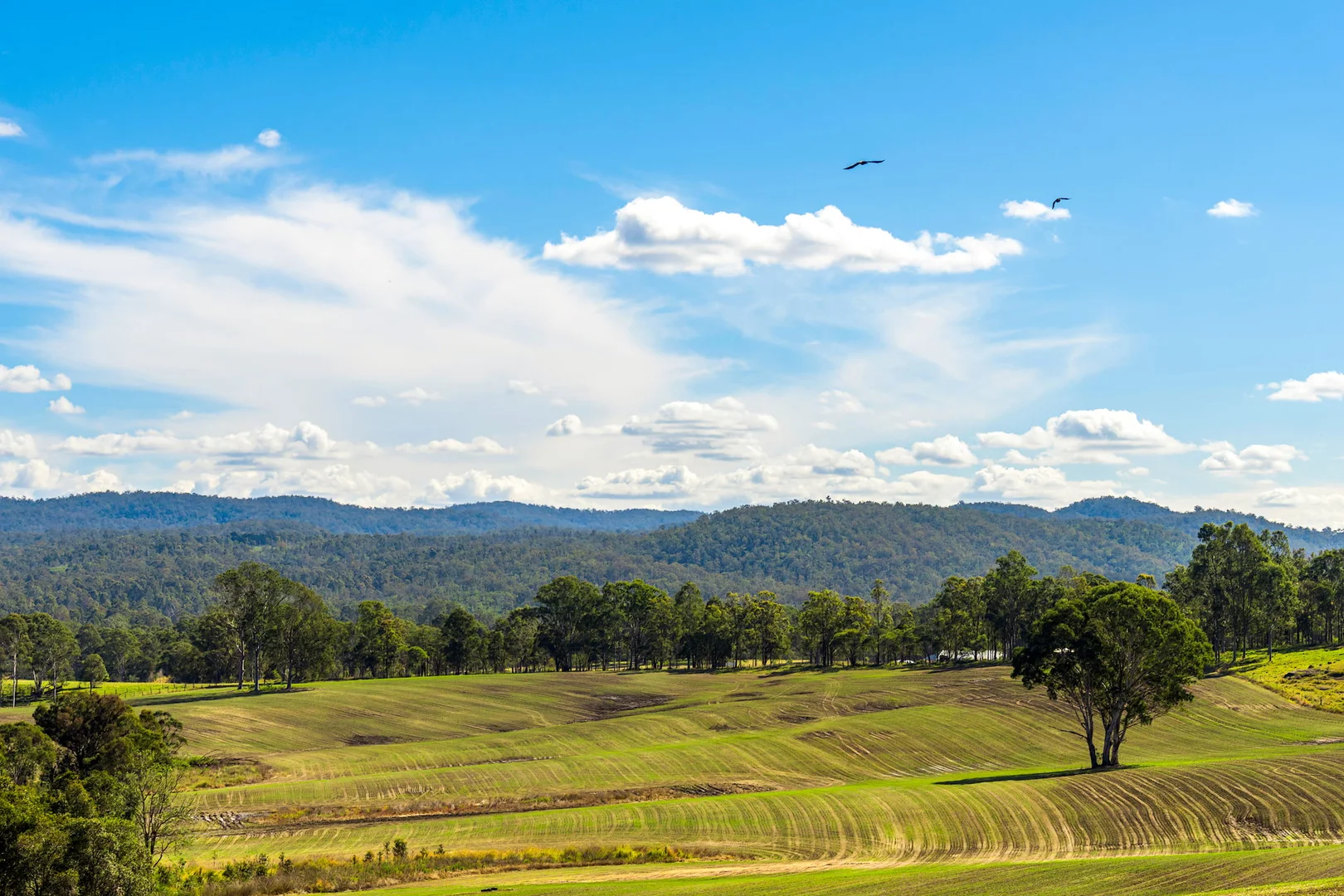 Additional image 16 of 119 Paddys Flat Road, Tabulam NSW 2469